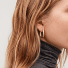 Diane - Gold U Shape Hoop Earrings